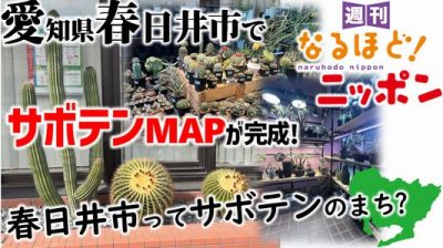 愛知県春日井市でサボテンMAPが完成！　春日井市ってサボテンのまち？