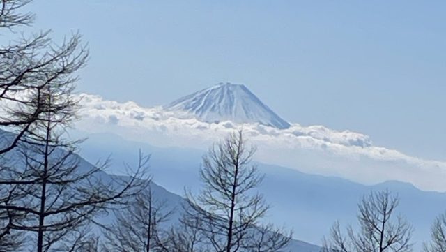 あさぼらけ写真館