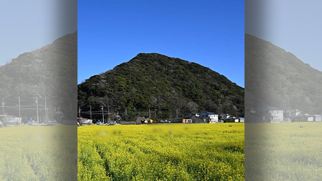あさぼらけ写真館