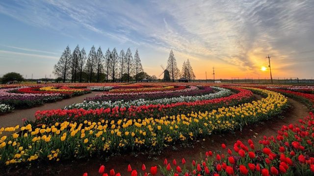 あさぼらけ写真館