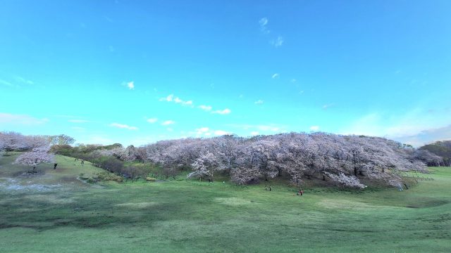 あさぼらけ写真館