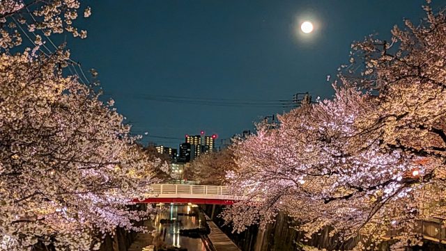 あさぼらけ写真館