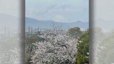あさぼらけ写真館
