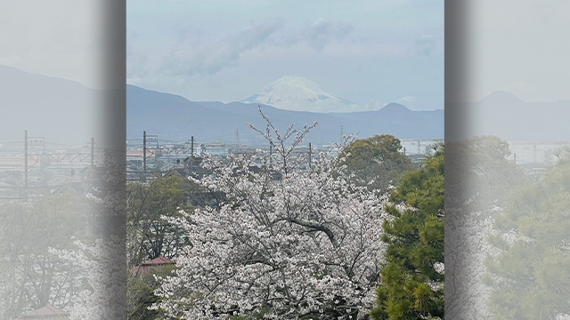 あさぼらけ写真館