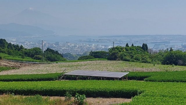 あさぼらけ写真館