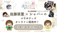 さとしおあちぇとぺぺコラボグッズ受注延長