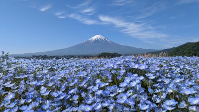 最高傑作(^o^)