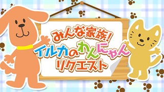 わんにゃんリクエスト（2018年6月24日最終回）