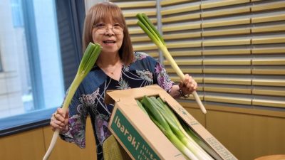茨城のねぎ いらねべか