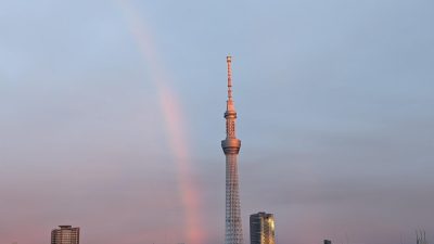 あさぼらけ写真館 明日が最終日!