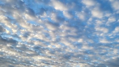 元気、でました?