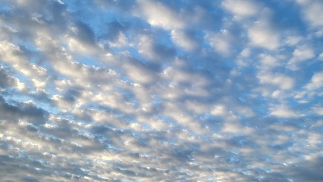 元気、でました？