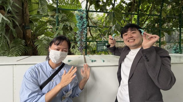 2026年6月3日（水）街角ステーション～噂を求めてどこまでも