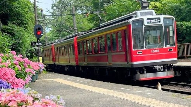 あさぼらけ写真館