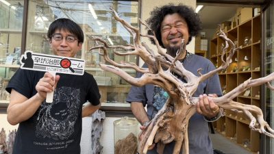2026年5月26日(火)街角ステーション~噂を求めてどこまでも