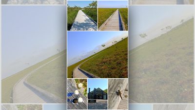 あさぼらけ写真館