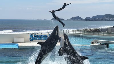 あさぼらけ写真館