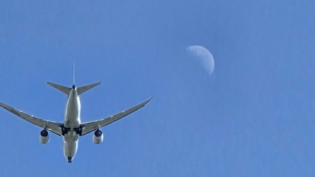 あさぼらけ写真館
