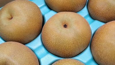 今日は、夏をたのしむリクエスト♪