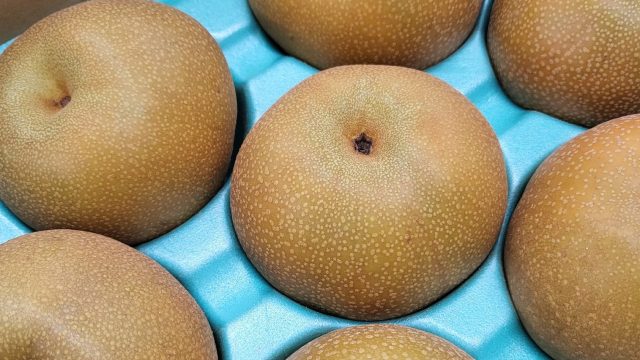 今日は、夏をたのしむリクエスト♪