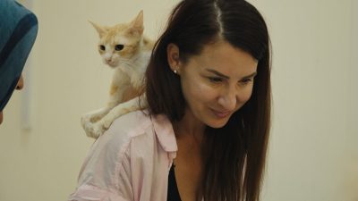 サンデー早起キネマ『猫たちと7000マイルの旅』