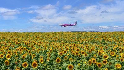 あさぼらけ写真館