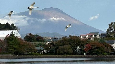 あさぼらけ写真館