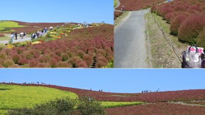 あさぼらけ写真館 5連チャン