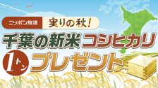 2610R_千葉の新米コシヒカリ1トンプレゼント