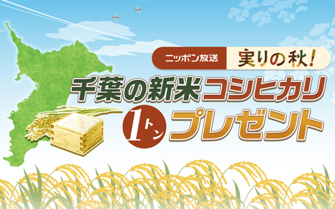 実りの秋！　千葉の新米コシヒカリ1トンプレゼント