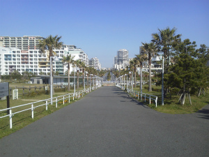 NEC_0652.jpg