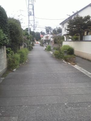20130907-4.JPG