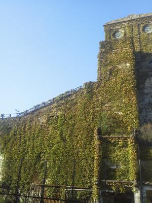20130921-4.JPG