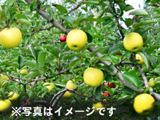 ourin_free02.jpg