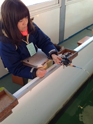 toku01119.jpg