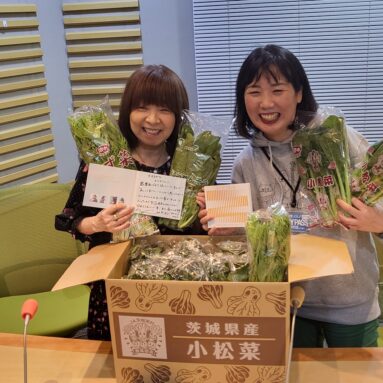 イルカのミュージックハーモニー