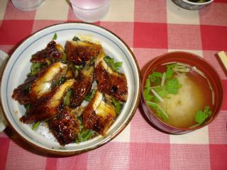 うなわさ丼